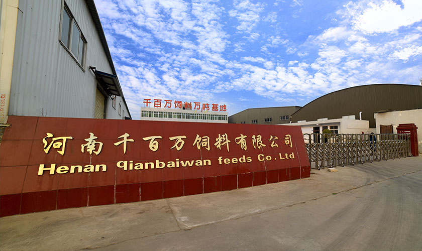 企业实力雄厚